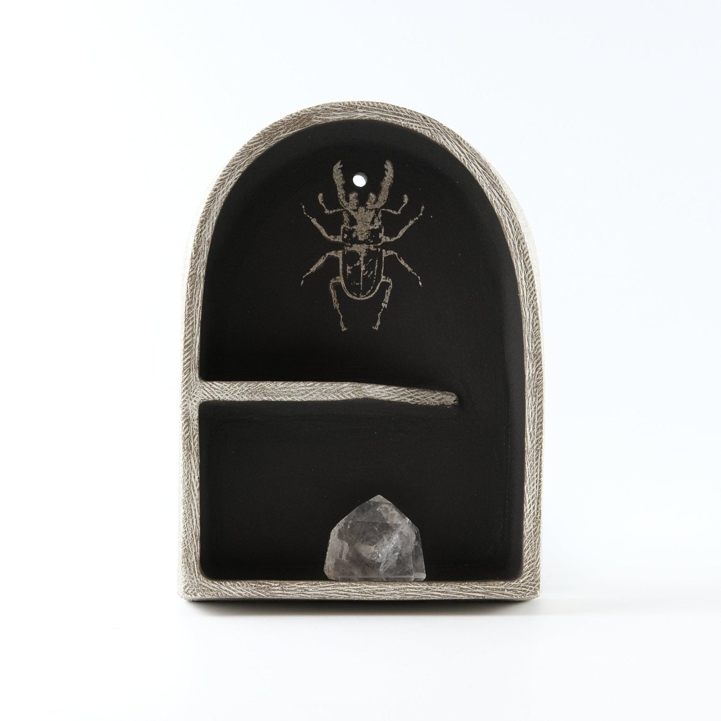 Curiosity Shelf - Mini Altar - Beetle - Adrea Davina Beres Ceramics