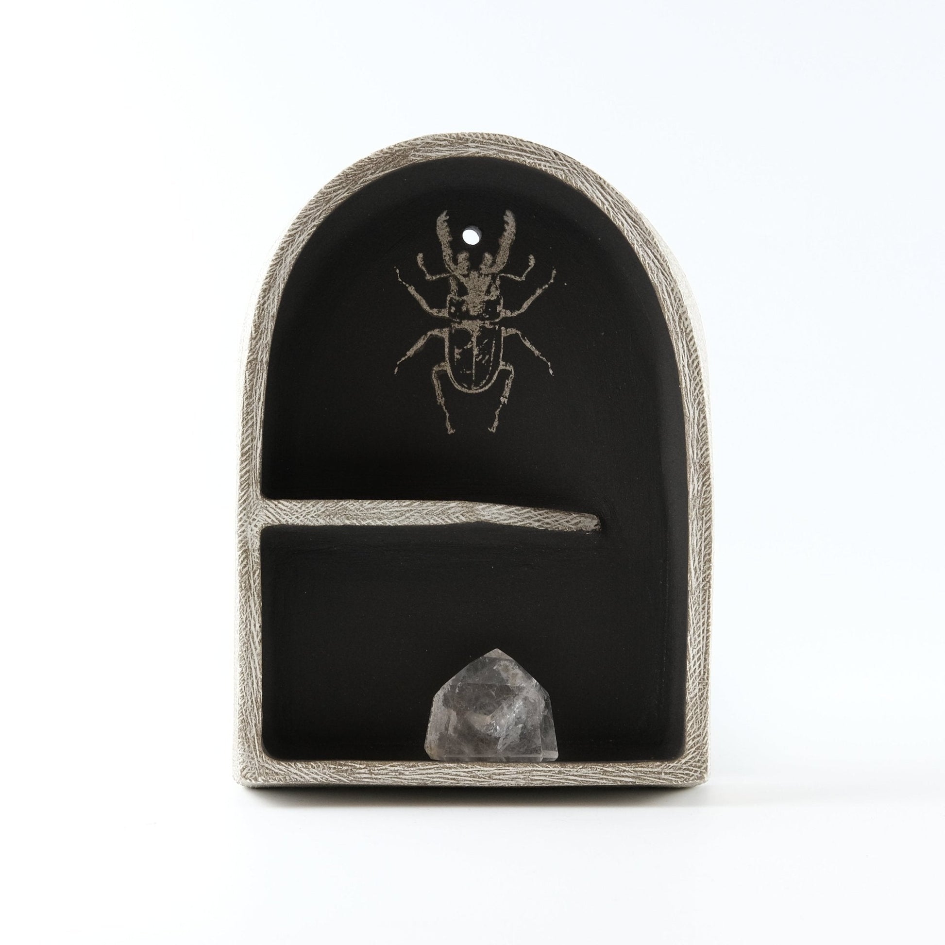 Curiosity Shelf - Mini Altar - Beetle - Adrea Davina Beres Ceramics