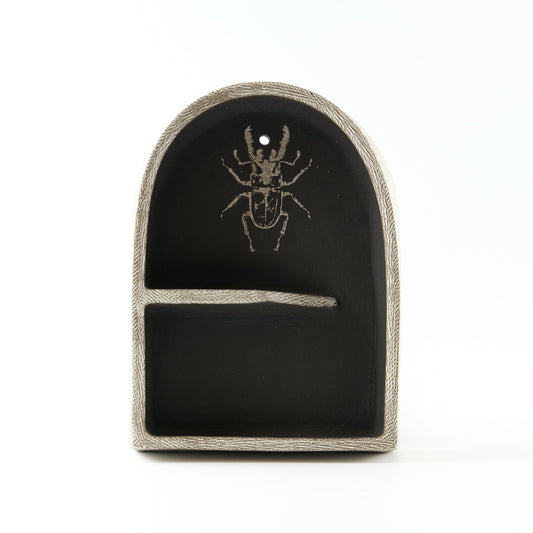 Curiosity Shelf - Mini Altar - Beetle - Adrea Davina Beres Ceramics